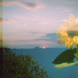 Film photography