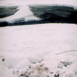 Film photography