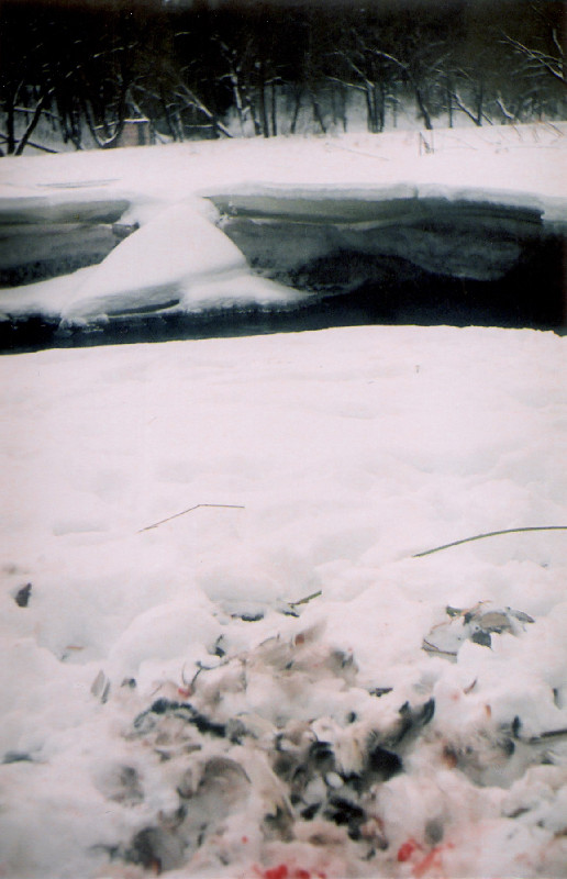 Film photography