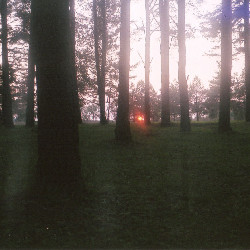 Film photography
