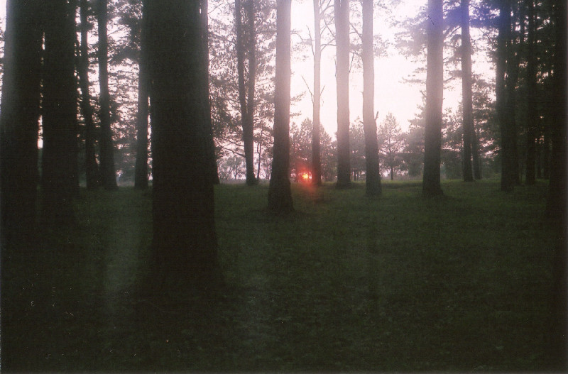 Film photography