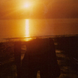 Film photography