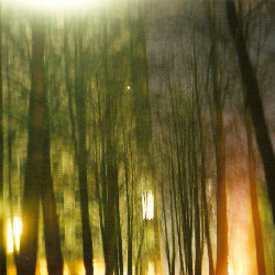 Film photography