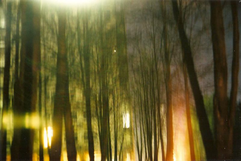 Film photography