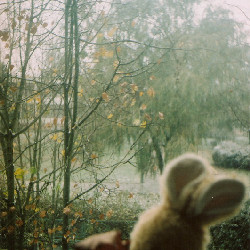 Film photography