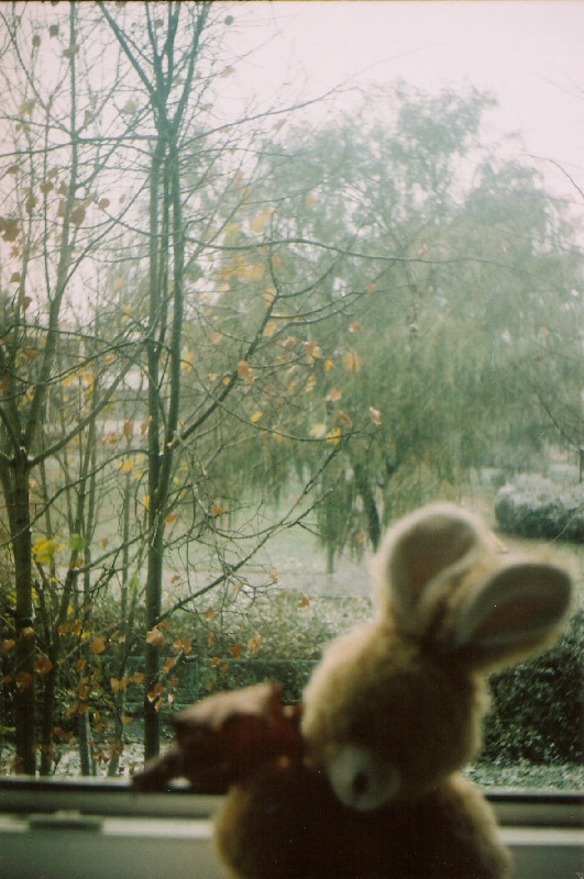 Film photography