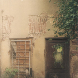 Film photography