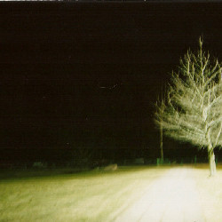 Film photography