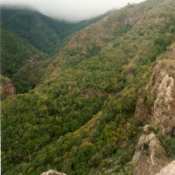 Film photography