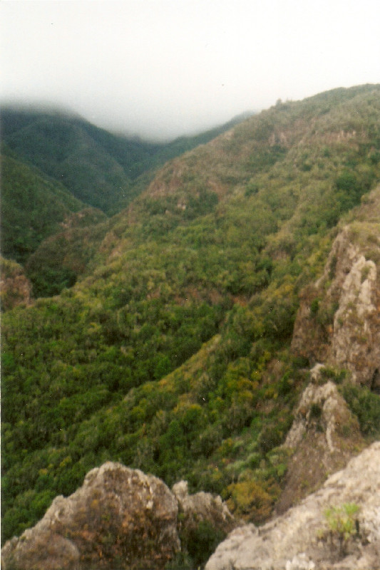 Film photography