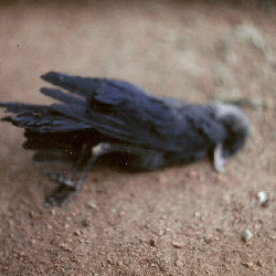 Film photography