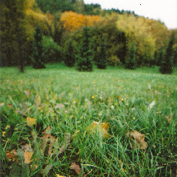 Film photography