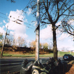 Film photography