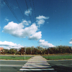 Film photography
