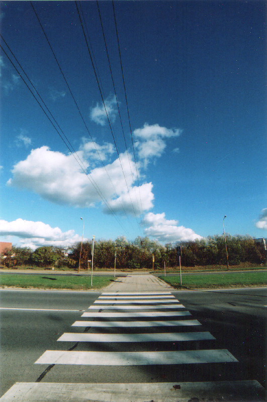 Film photography