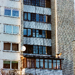 Film photography