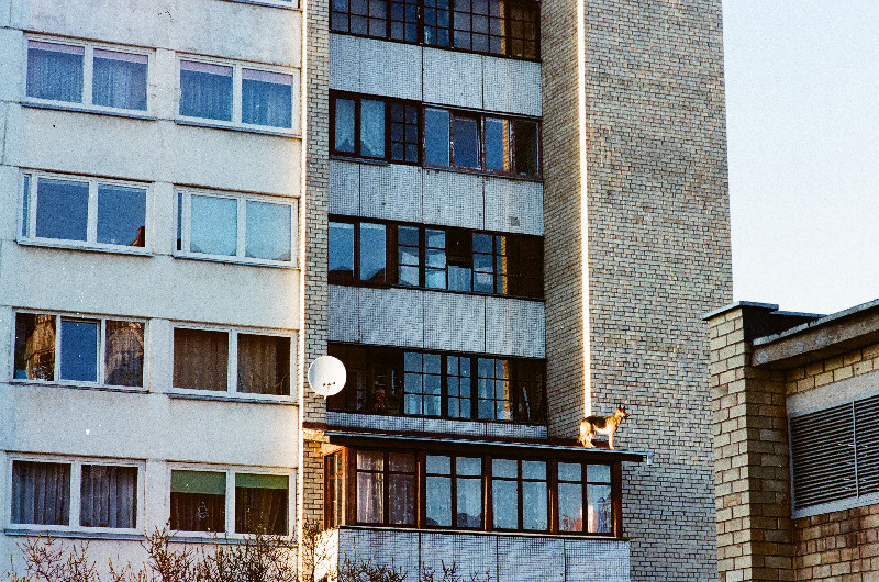 Film photography