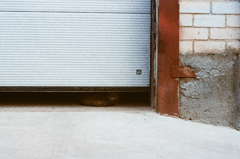 Film photography
