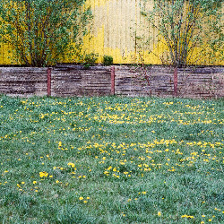 Film photography