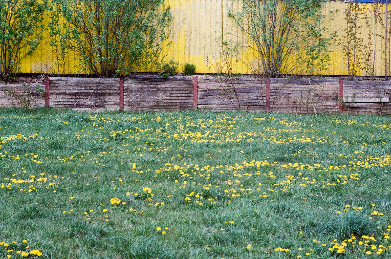 Film photography