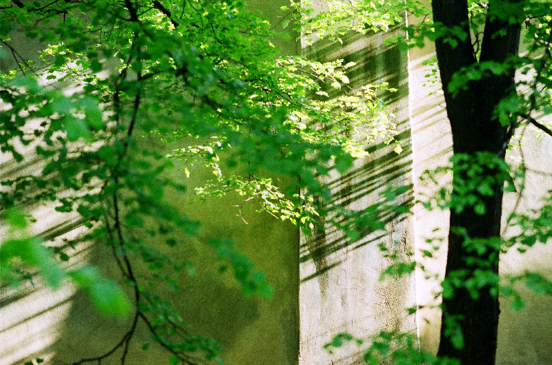 Film photography