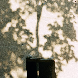 Film photography