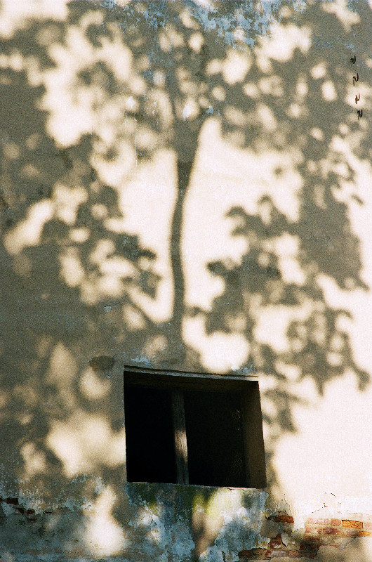 Film photography