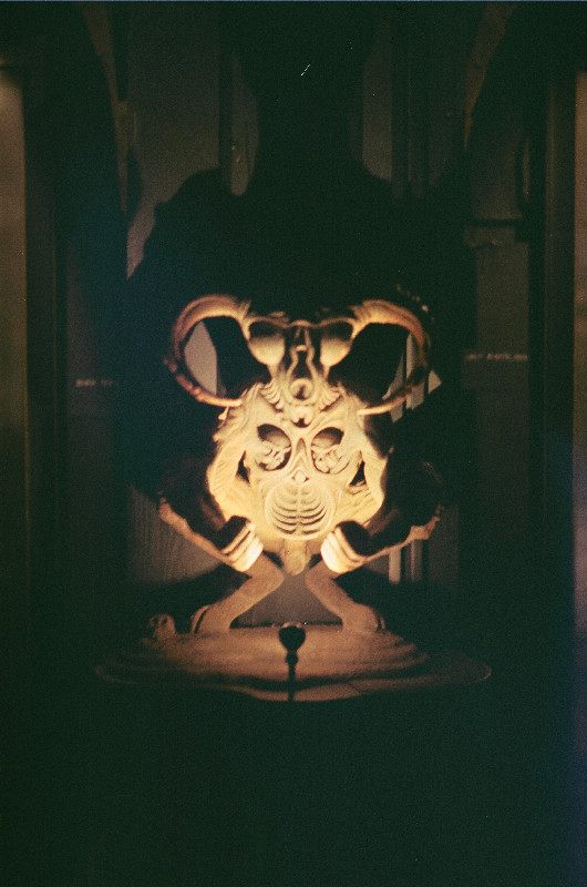 Film photography