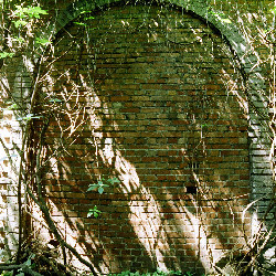 Film photography