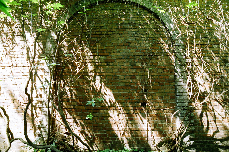 Film photography