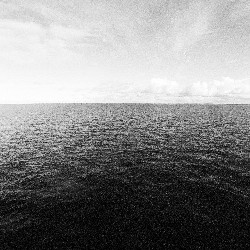 Film photography
