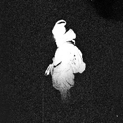 Film photography