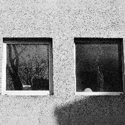 Film photography