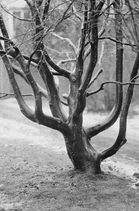 Film photography