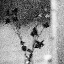 Film photography