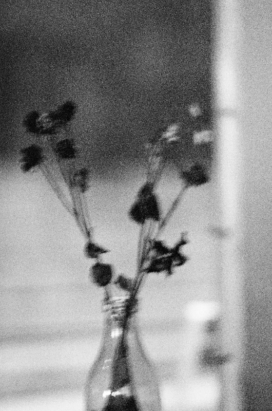 Film photography