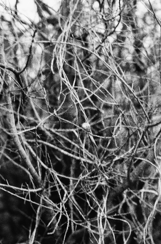 Film photography