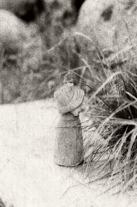 Film photography