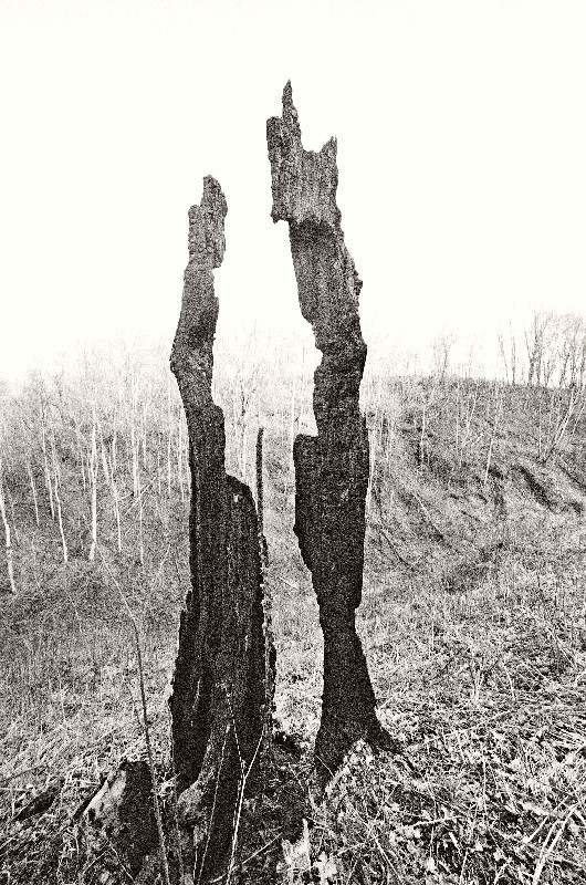 Film photography