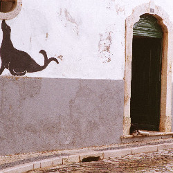 Film photography