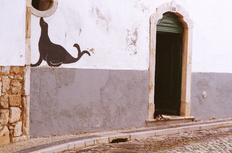 Film photography