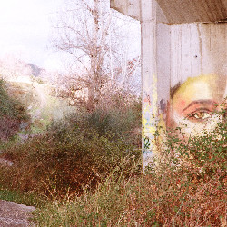 Film photography