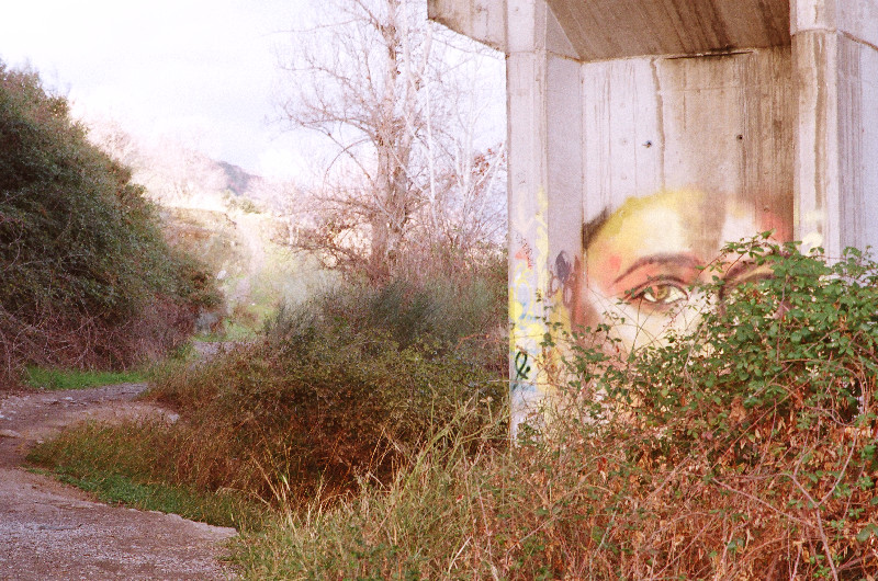 Film photography