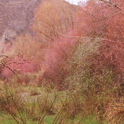 Film photography