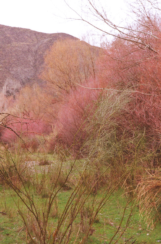 Film photography