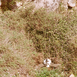 Film photography