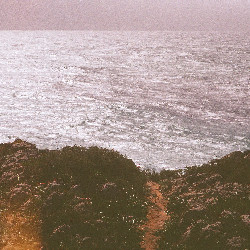 Film photography