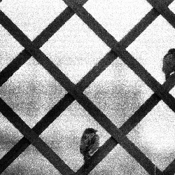 Film photography