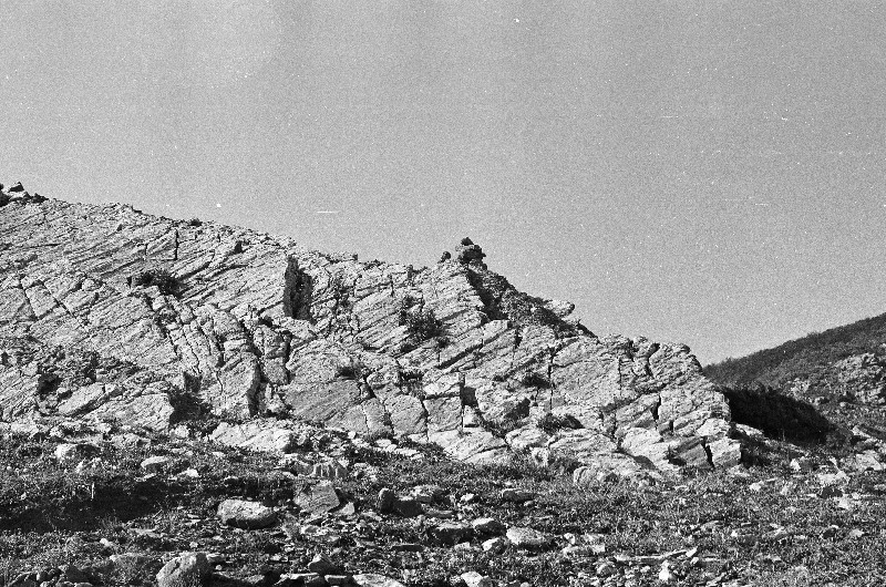 Film photography