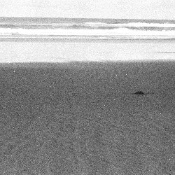 Film photography